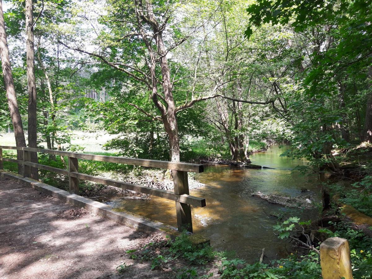 Mazury Domek Caloroczny Przy Lesie, Jezioro Villa Pelnik Luaran gambar