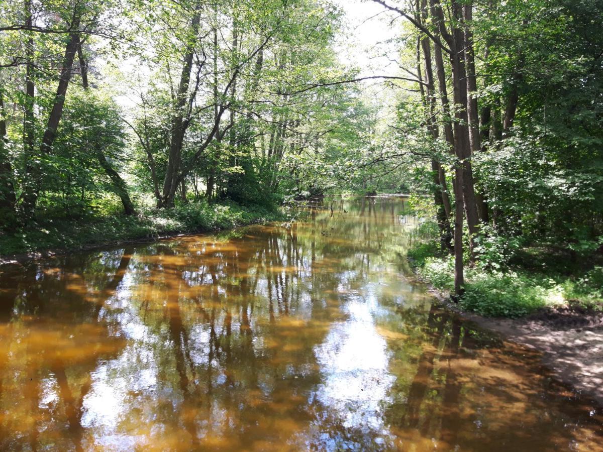 Mazury Domek Caloroczny Przy Lesie, Jezioro Villa Pelnik Luaran gambar